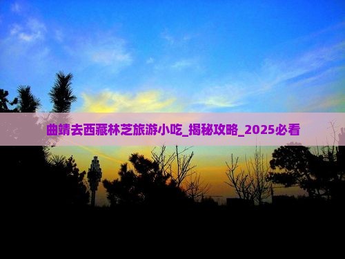 曲靖去西藏林芝旅游小吃