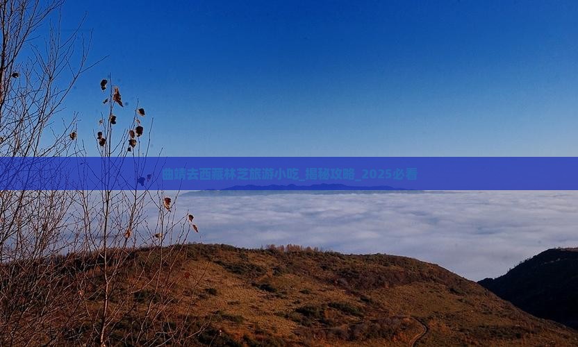 曲靖去西藏林芝旅游小吃