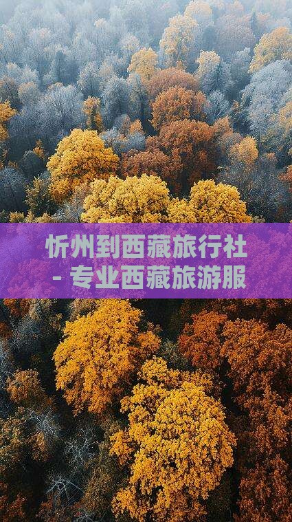 忻州到西藏旅行社