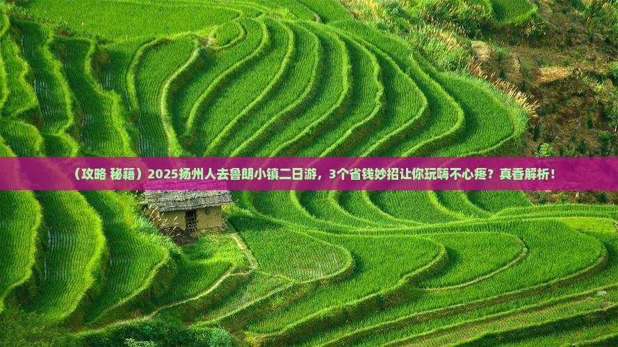 扬州到西藏鲁朗小镇二日游