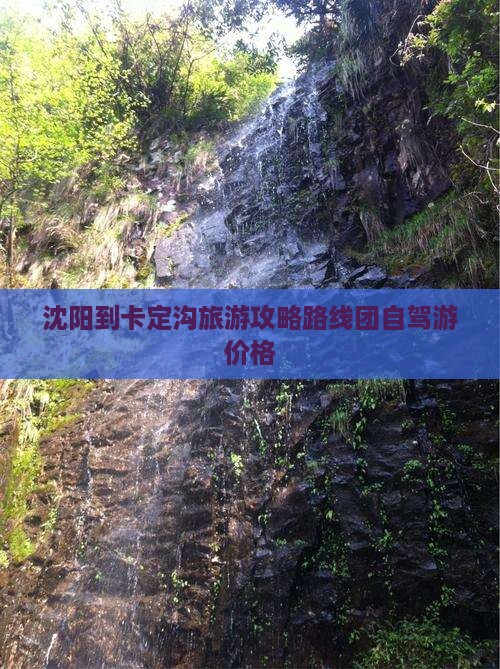 沈阳到西藏卡定沟旅游