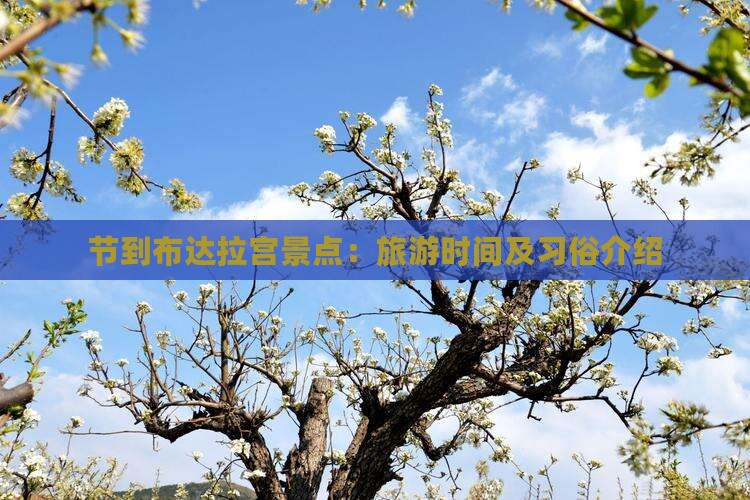 中秋节到西藏布达拉宫景点