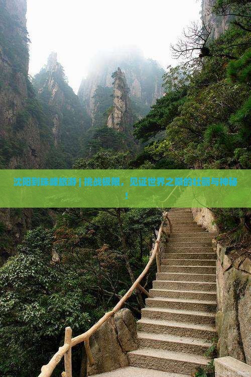沈阳到西藏珠峰大本营旅游