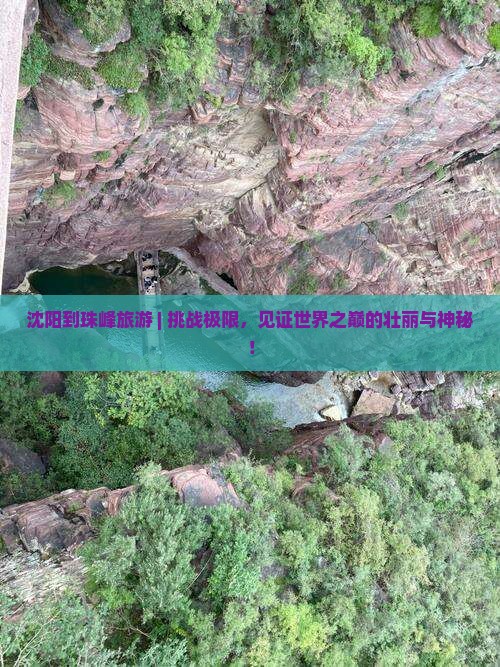 沈阳到西藏珠峰大本营旅游