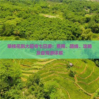 攀枝花到西藏大昭寺七日游