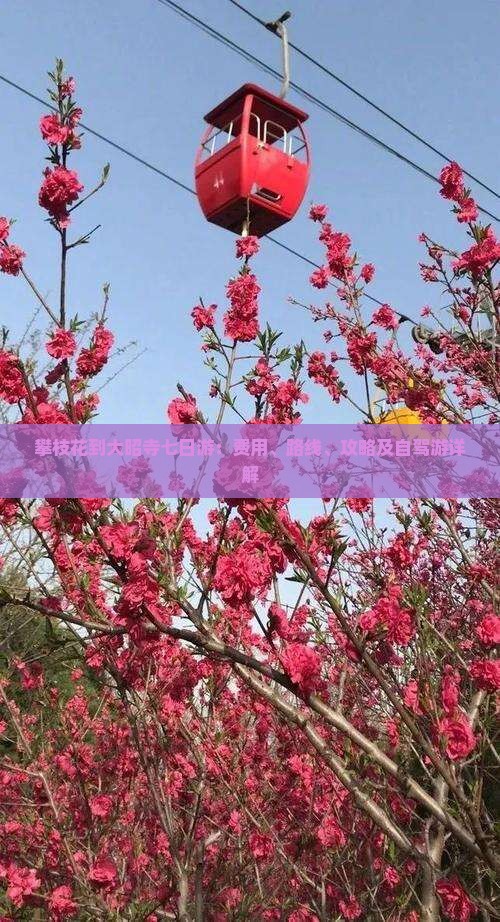 攀枝花到西藏大昭寺七日游