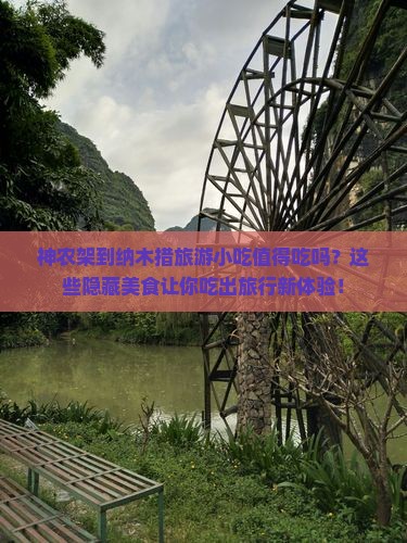 神农架到西藏纳木措旅游小吃