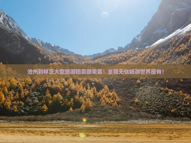 沧州到西藏林芝大型旅游团