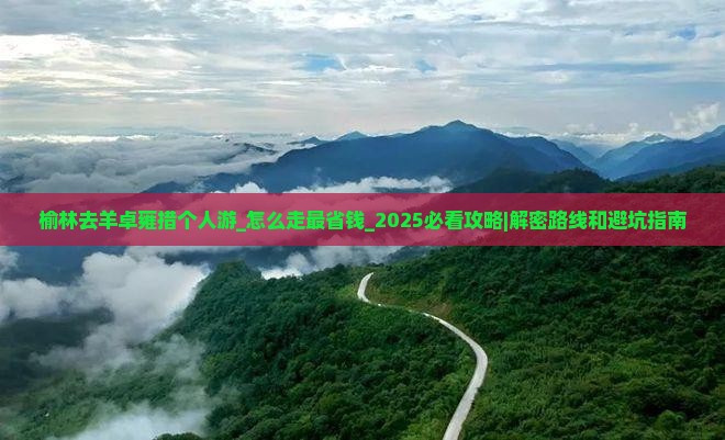 榆林去西藏羊卓雍措个人游