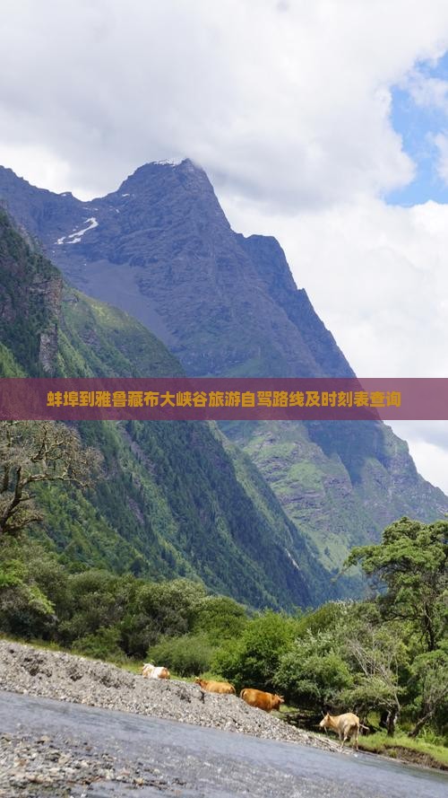 蚌埠到雅鲁藏布大峡谷旅游自驾路线及时刻表查询