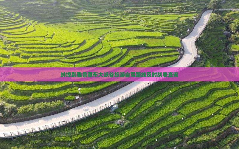 蚌埠到雅鲁藏布大峡谷旅游自驾路线及时刻表查询