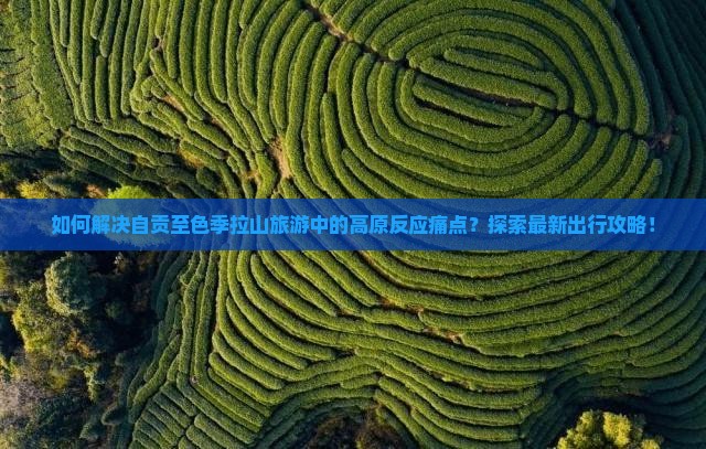 如何解决自贡至色季拉山旅游中的高原反应痛点?探索最新出行攻略! 如何解决自贡至色季拉山旅游中的高原反应痛点?探索最新出行攻略!