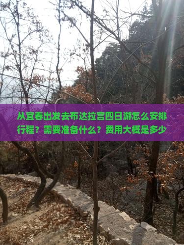 从宜春出发去布达拉宫四日游怎么安排行程？需要准备什么？费用大概是多少？