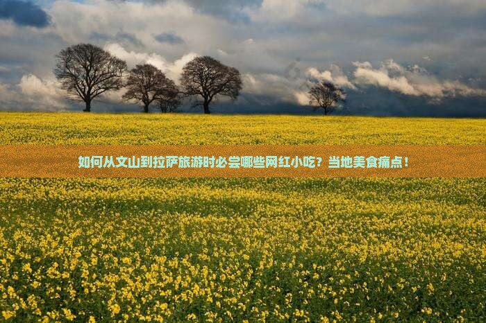 如何从文山到拉萨旅游时必尝哪些网红小吃？当地美食痛点！