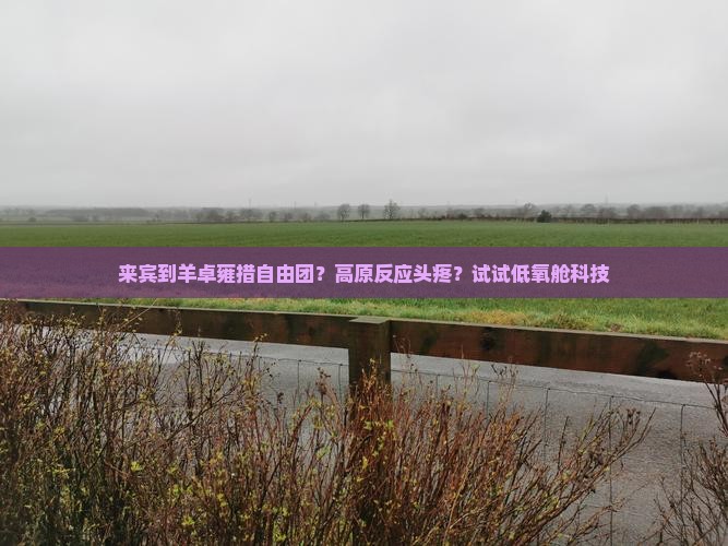 来宾到羊卓雍措自由团？高原反应头疼？试试低氧舱科技