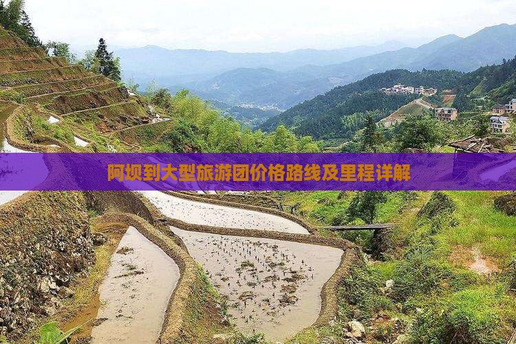 阿坝到大型旅游团价格路线及里程详解