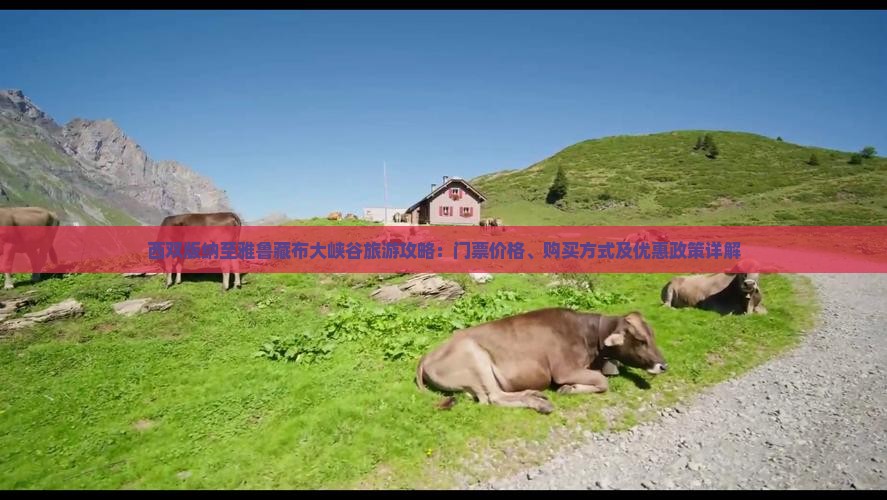 西双版纳至雅鲁藏布大峡谷旅游攻略：门票价格、购买方式及优惠政策详解