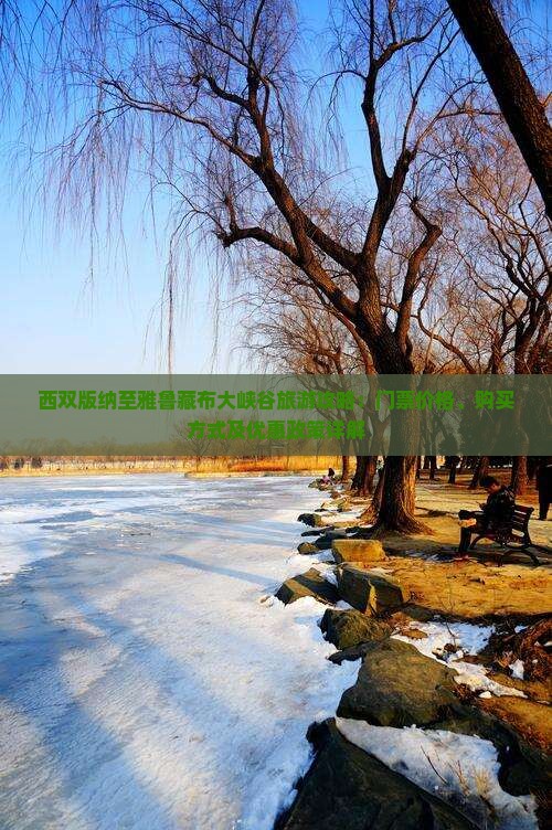 西双版纳至雅鲁藏布大峡谷旅游攻略：门票价格、购买方式及优惠政策详解