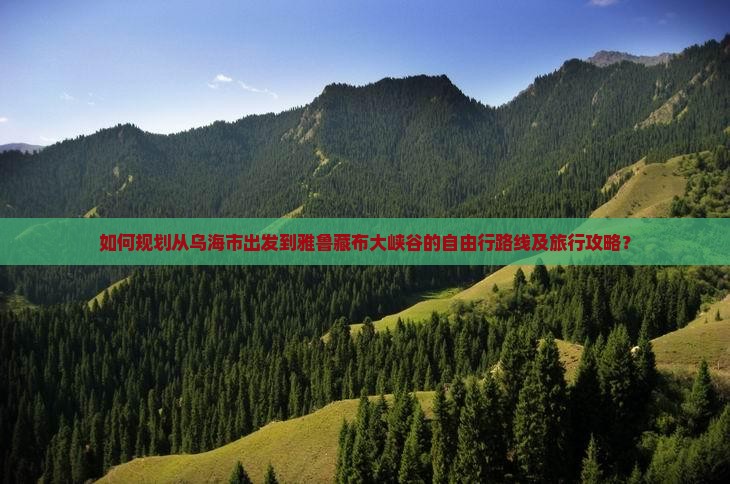 如何规划从乌海市出发到雅鲁藏布大峡谷的自由行路线及旅行攻略？