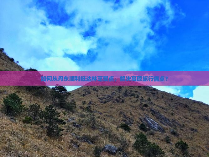 如何从丹东顺利抵达林芝景点，解决高原旅行痛点？