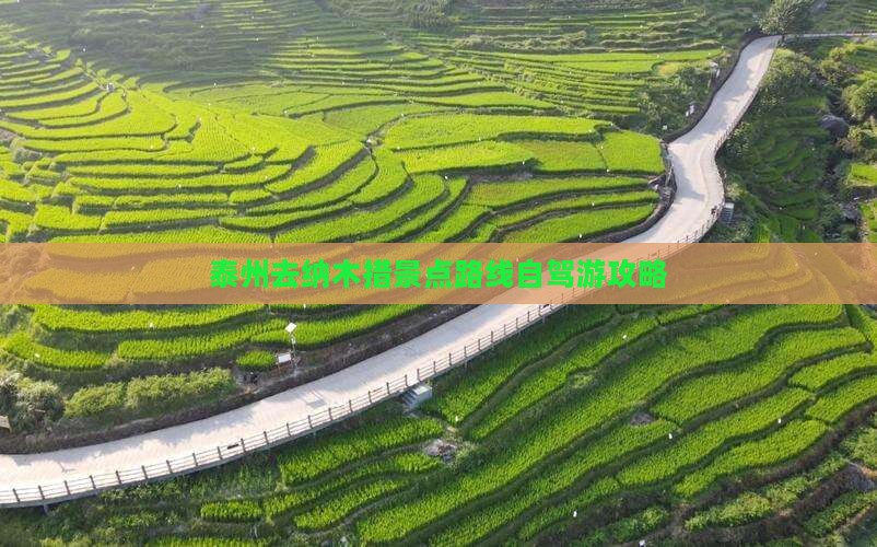 泰州去纳木措景点路线自驾游攻略
