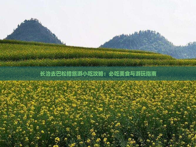 长治去巴松措旅游小吃攻略：必吃美食与游玩指南