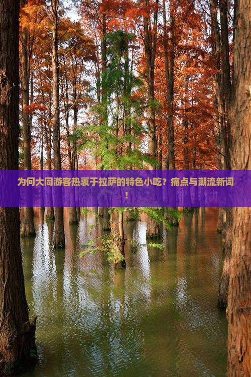 为何大同游客热衷于拉萨的特色小吃？痛点与潮流新词！