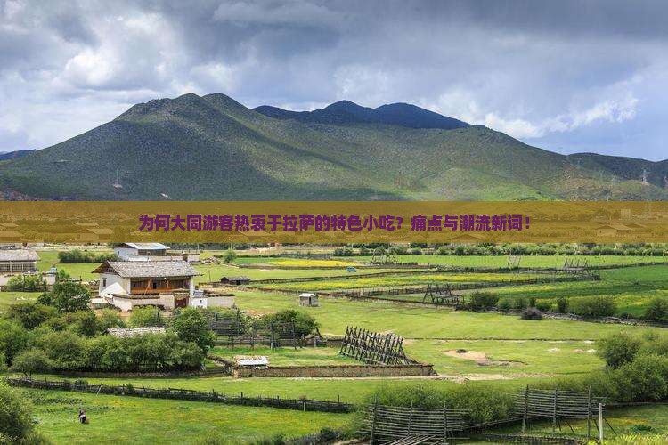 为何大同游客热衷于拉萨的特色小吃？痛点与潮流新词！