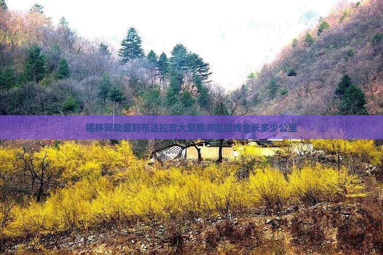 锡林郭勒盟到布达拉宫大型旅游团路线全长多少公里