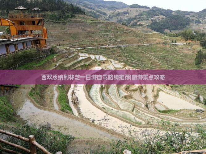 西双版纳到林芝一日游自驾路线推荐|旅游景点攻略