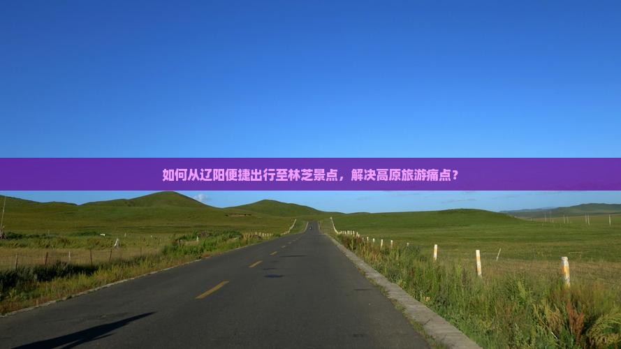 如何从辽阳便捷出行至林芝景点，解决高原旅游痛点？