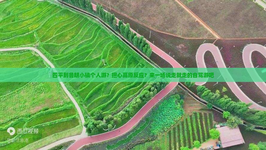 四平到鲁朗小镇个人游？担心高原反应？来一场说走就走的自驾游吧