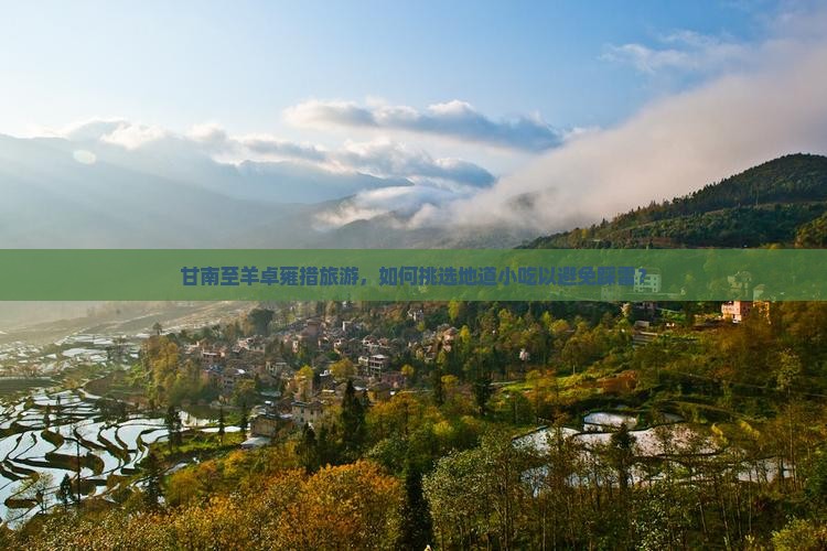 甘南至羊卓雍措旅游，如何挑选地道小吃以避免踩雷？