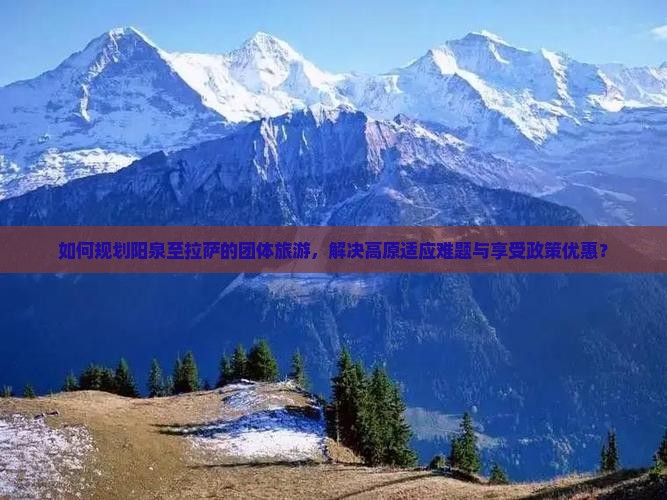 如何规划阳泉至拉萨的团体旅游，解决高原适应难题与享受政策优惠？