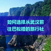 如何选择从武汉前往巴松措的旅行社及行程规划？