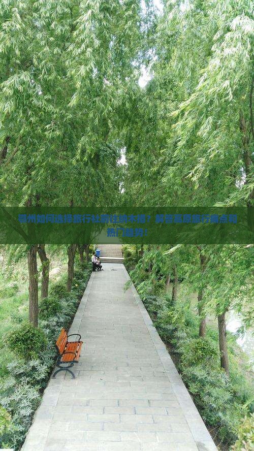 鄂州如何选择旅行社前往纳木措？解答高原旅行痛点和热门趋势！