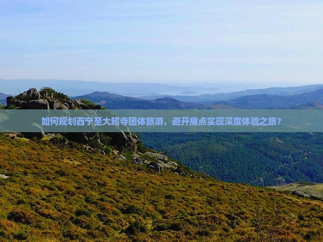 如何规划西宁至大昭寺团体旅游，避开痛点实现深度体验之旅？