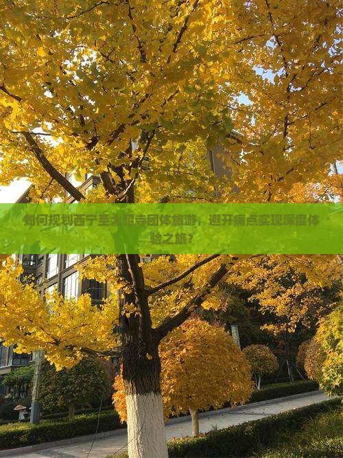 如何规划西宁至大昭寺团体旅游，避开痛点实现深度体验之旅？