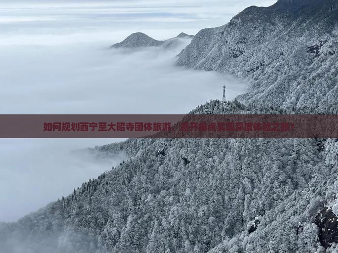 如何规划西宁至大昭寺团体旅游，避开痛点实现深度体验之旅？