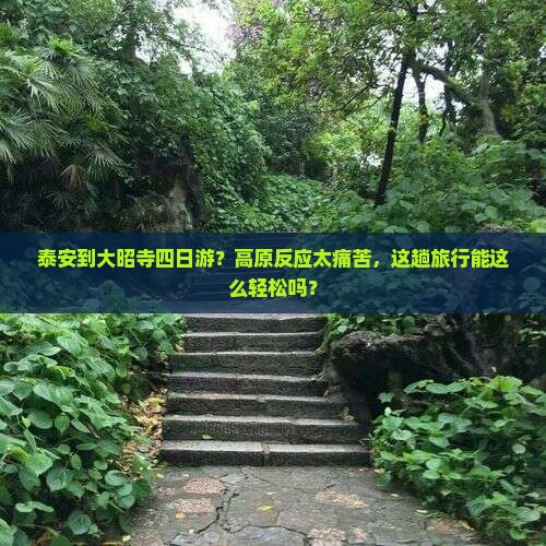 泰安到大昭寺四日游？高原反应太痛苦，这趟旅行能这么轻松吗？