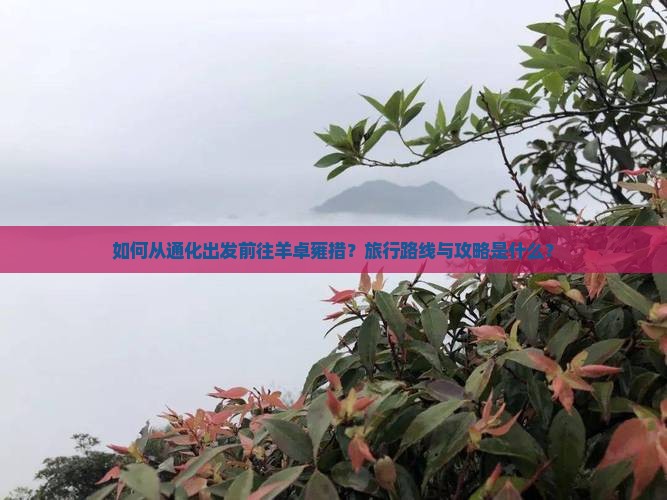 如何从通化出发前往羊卓雍措？旅行路线与攻略是什么？