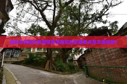 如何从保定出发游览林芝地区的主要景点及交通攻略？