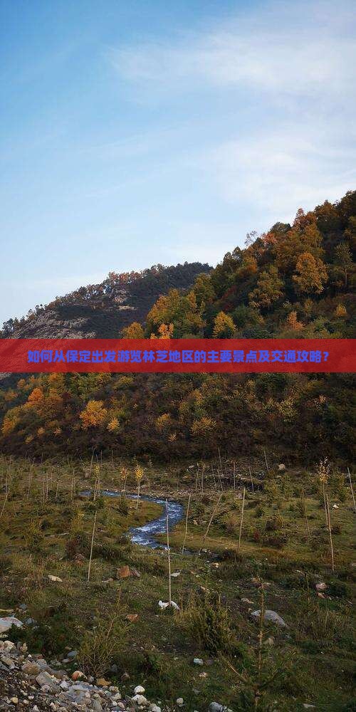 如何从保定出发游览林芝地区的主要景点及交通攻略？