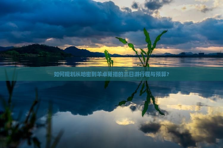 如何规划从哈密到羊卓雍措的三日游行程与预算？