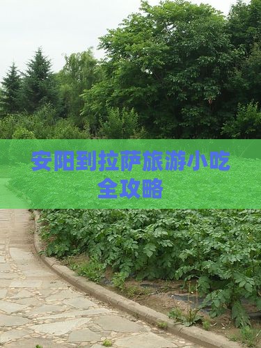 安阳到拉萨旅游小吃全攻略