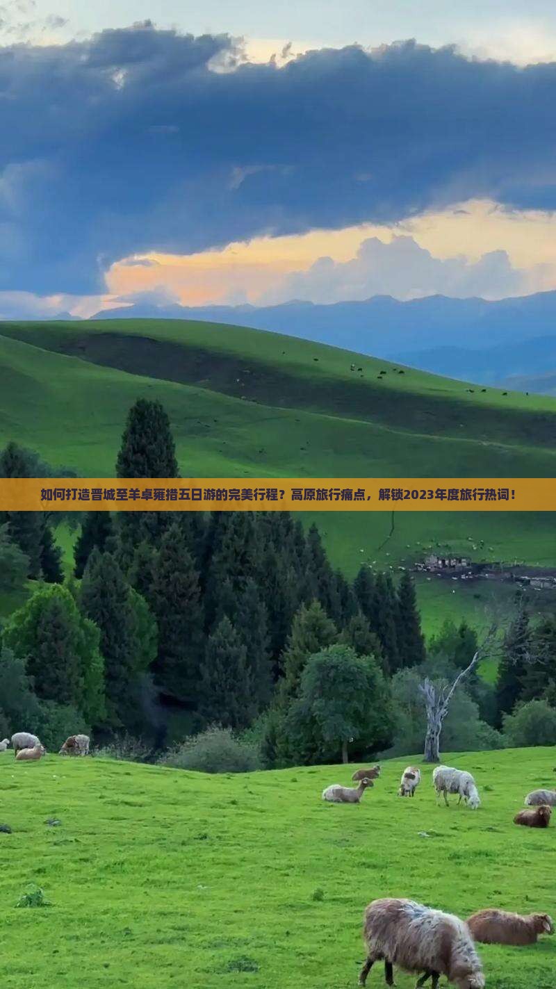 如何打造晋城至羊卓雍措五日游的完美行程？高原旅行痛点，解锁2023年度旅行热词！