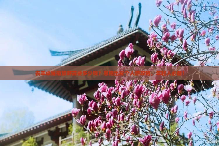 去羊卓雍措旅游需要多少钱？恩施出发个人游攻略，年轻人必备！