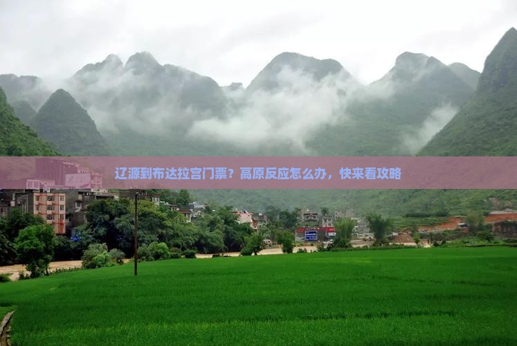 辽源到布达拉宫门票？高原反应怎么办，快来看攻略