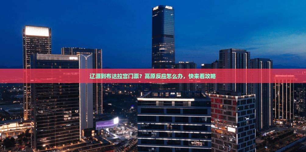 辽源到布达拉宫门票？高原反应怎么办，快来看攻略