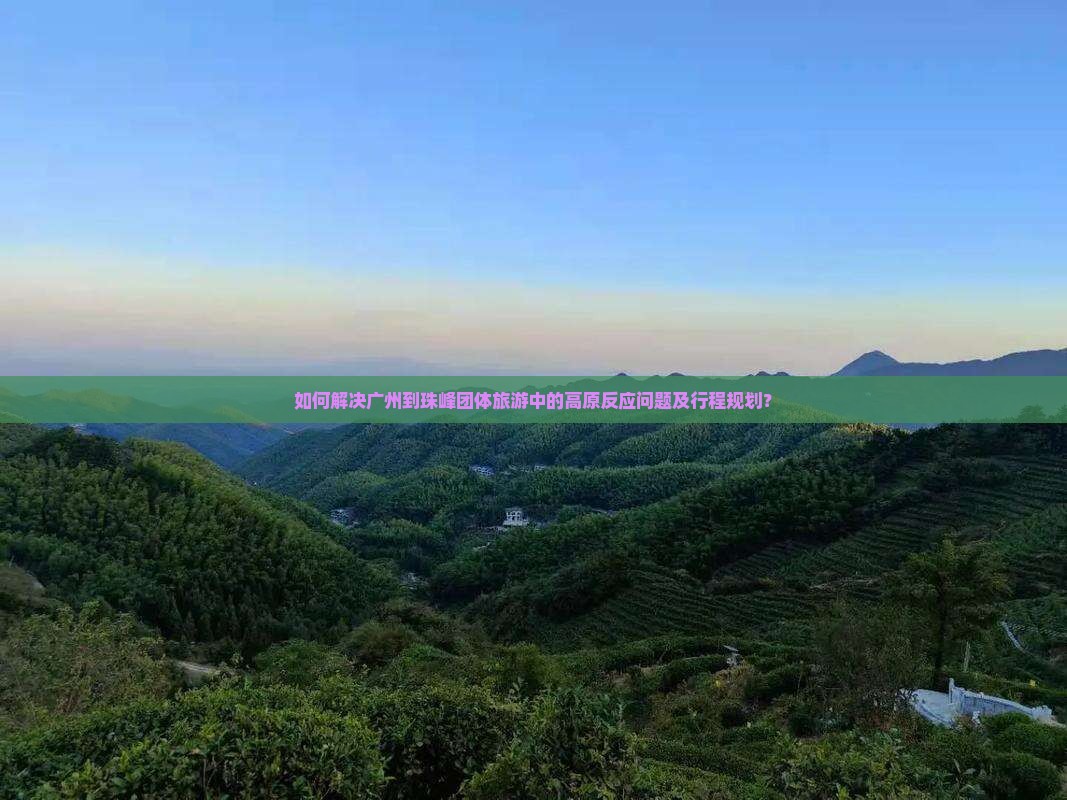 如何解决广州到珠峰团体旅游中的高原反应问题及行程规划？